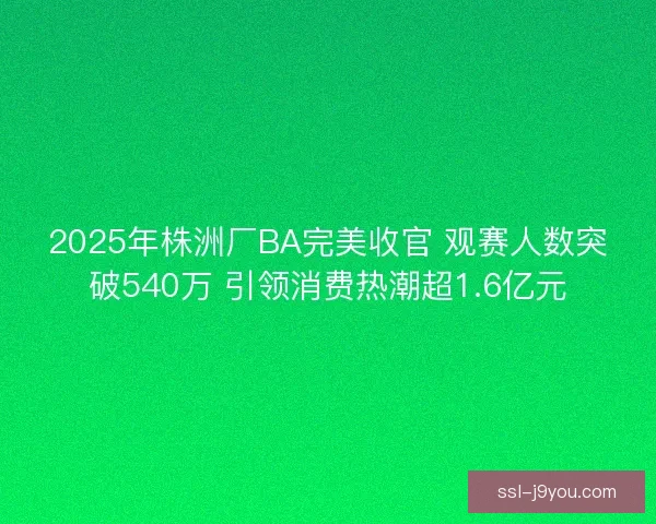 2025年株洲厂BA完美收官 观赛人数突破540万 引领消费热潮超1.6亿元